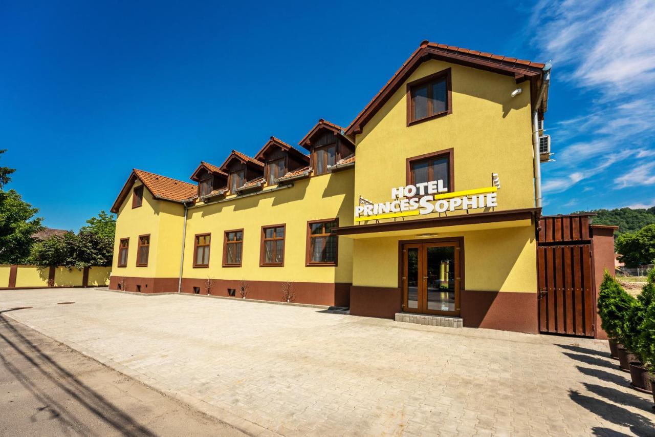 Hotel Princessophie Segesvár Kültér fotó