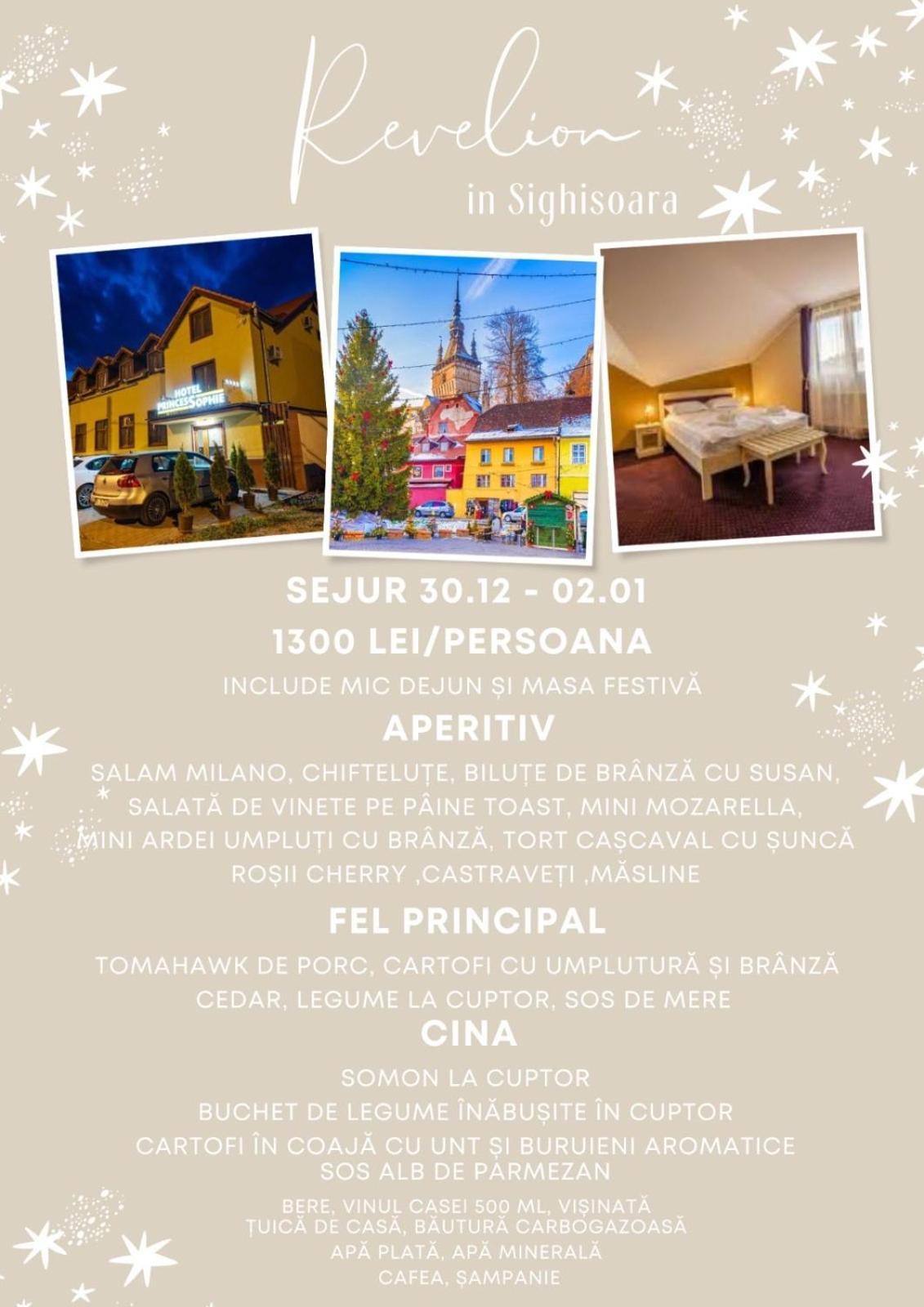 Hotel Princessophie Segesvár Kültér fotó