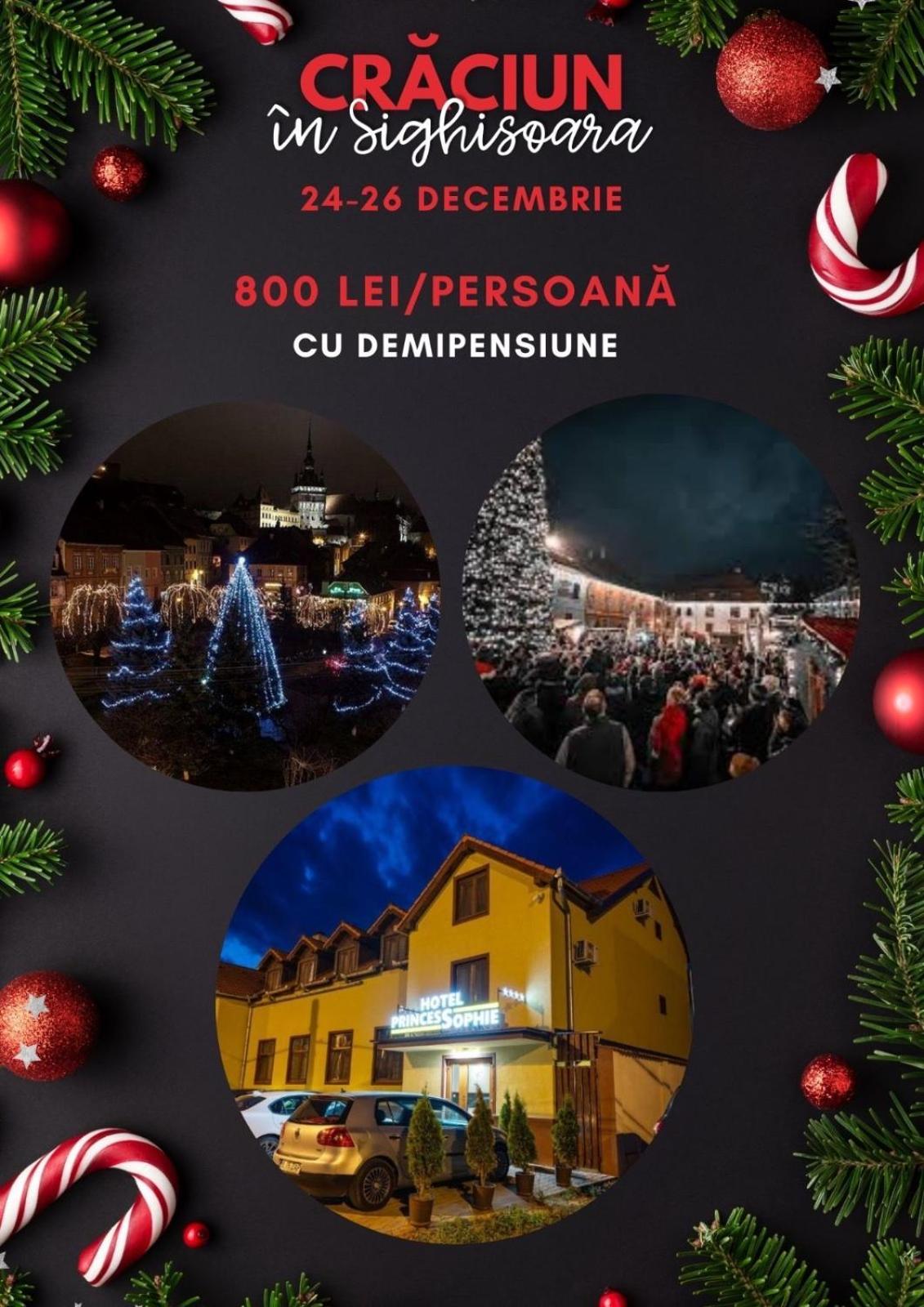 Hotel Princessophie Segesvár Kültér fotó